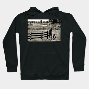 Lines and Shadows Hoodie